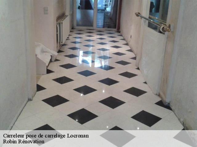 Carreleur pose de carrelage  29180