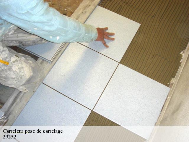 Carreleur pose de carrelage  29252