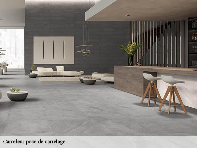 Carreleur pose de carrelage  29252