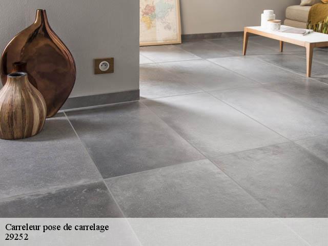 Carreleur pose de carrelage  29252